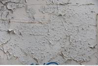 Photo Texture of Plaster 0012